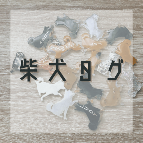 シバイヌのネームタグ