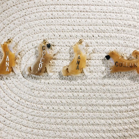 シバイヌのネームタグ