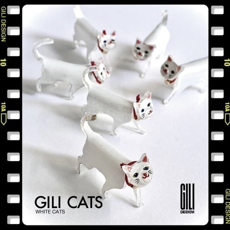GILI CATS / 白猫