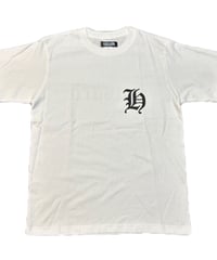 HSD T white×black
