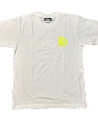 HSD T white×yellow