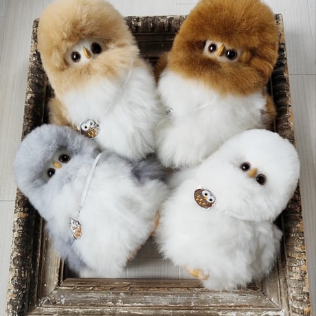 Baby alpaca fuwari
