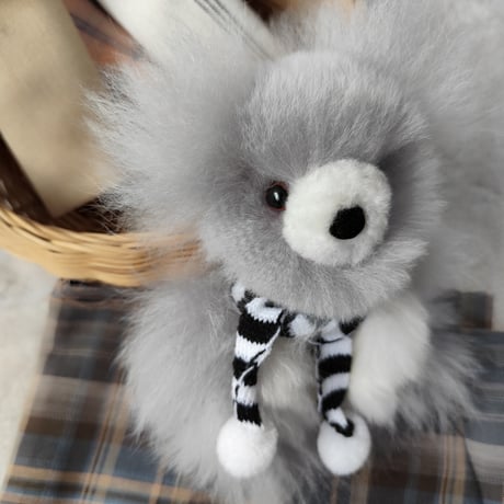 ベビーアルパカ | STORES