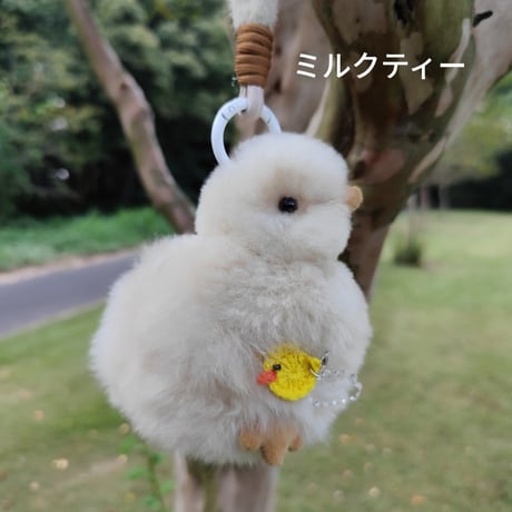 アルパカテディベア | STORES