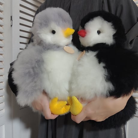 Baby alpaca fuwari
