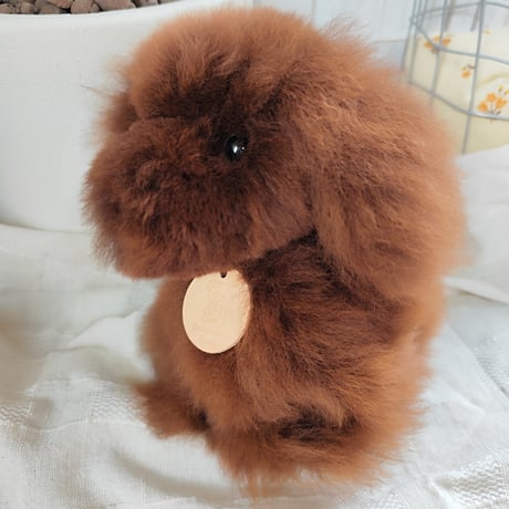 Baby alpaca fuwari