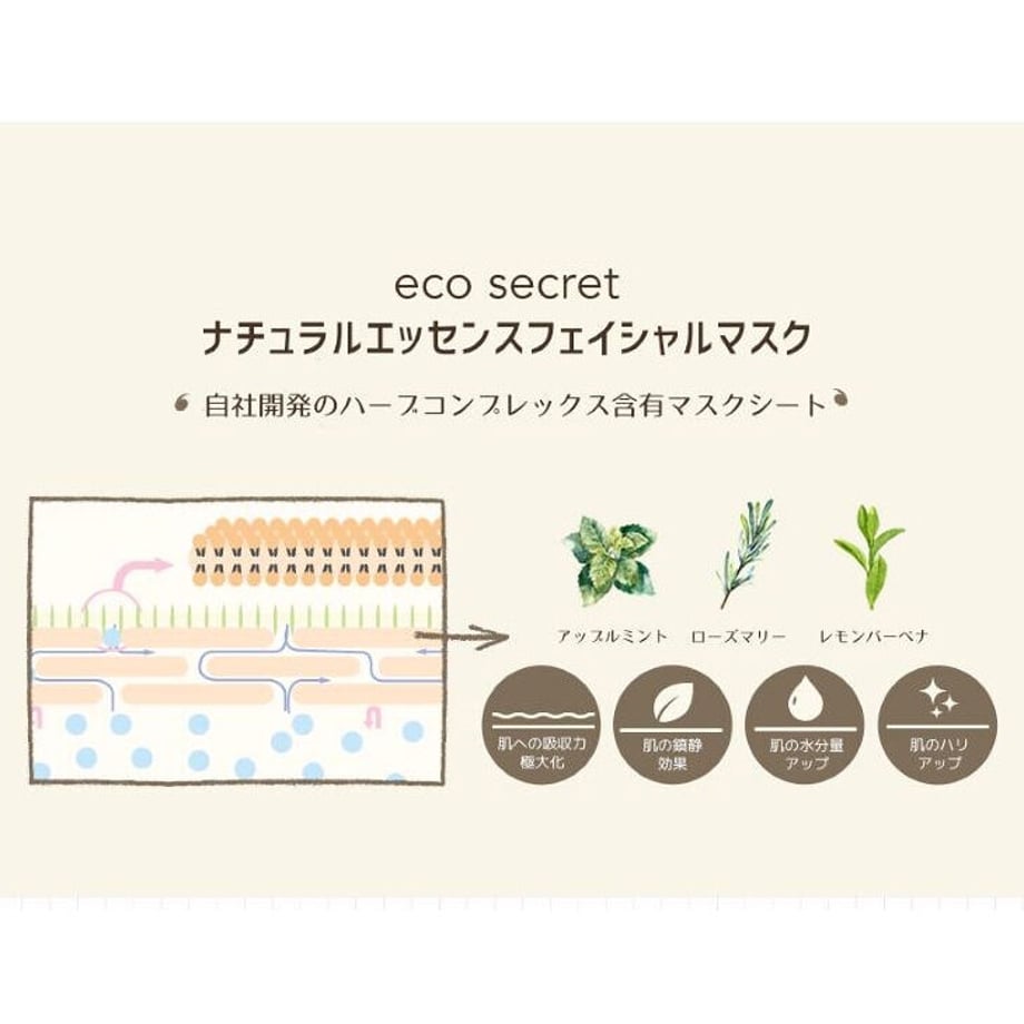 62ecc5c8110dda5819db1378