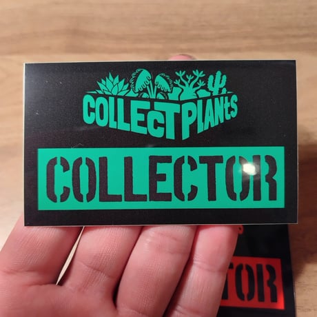 コレプラステッカー”COLLECTOR”　１５００円以上購入時のみ購入可　collect plants  のコピー