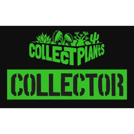 コレプラステッカー”COLLECTOR”　１５００円以上購入時のみ購入可　collect plants  のコピー