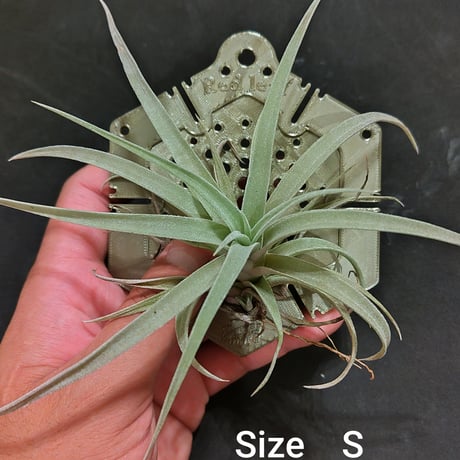 ３Ｄプリンター植物着生板 『六角』タイプ