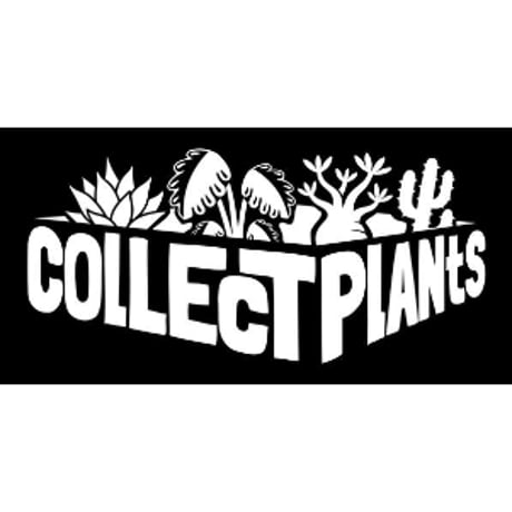 コレプラステッカー”LOGO”　１５００円以上購入時のみ購入可　collect plants