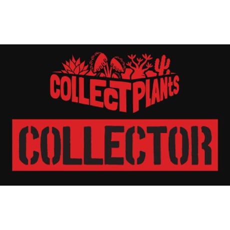コレプラステッカー”COLLECTOR”　１５００円以上購入時のみ購入可　collect plants  のコピー