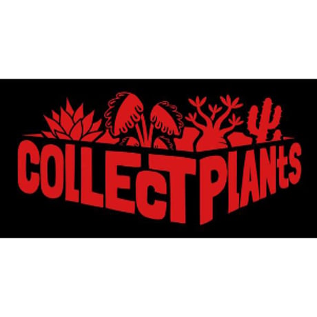コレプラステッカー”LOGO”　１５００円以上購入時のみ購入可　collect plants