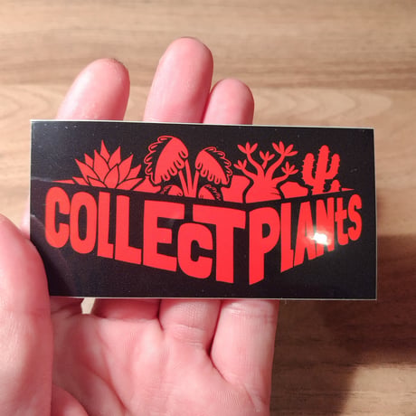 コレプラステッカー”LOGO”　１５００円以上購入時のみ購入可　collect plants