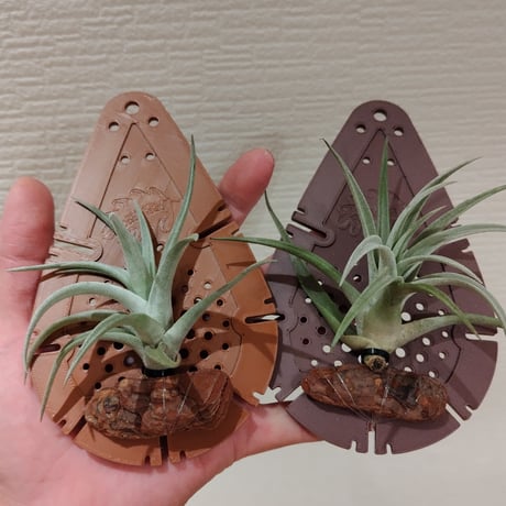 ３Ｄプリンター植物着生板 『六角』タイプ