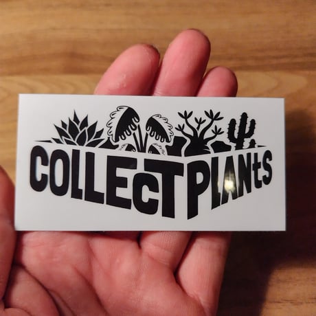 コレプラステッカー”LOGO”　１５００円以上購入時のみ購入可　collect plants