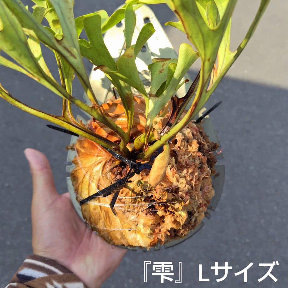 6936c60d888a2e9032c56a28
