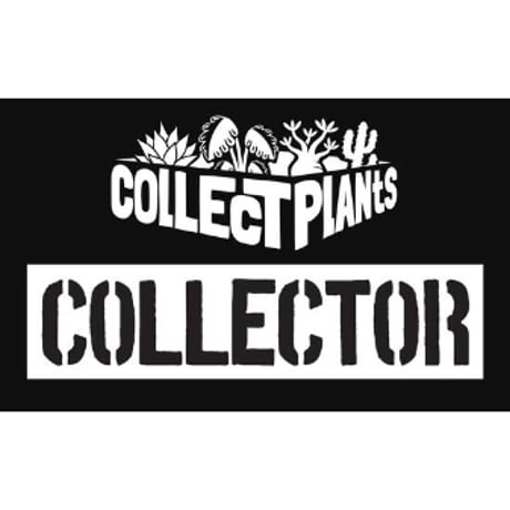 コレプラステッカー”COLLECTOR”　１５００円以上購入時のみ購入可　collect plants  のコピー