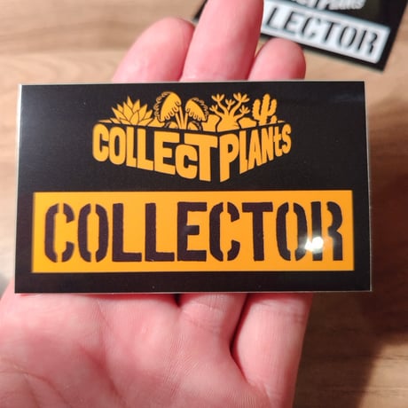 コレプラステッカー”COLLECTOR”　１５００円以上購入時のみ購入可　collect plants  のコピー