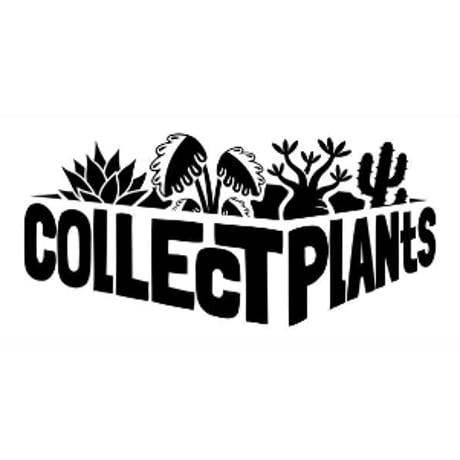 コレプラステッカー”LOGO”　１５００円以上購入時のみ購入可　collect plants