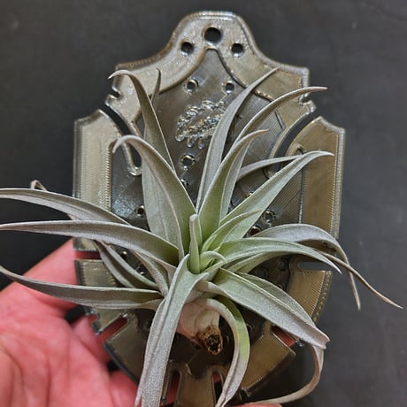 ３Ｄプリンター植物着生板 『六角』タイプ