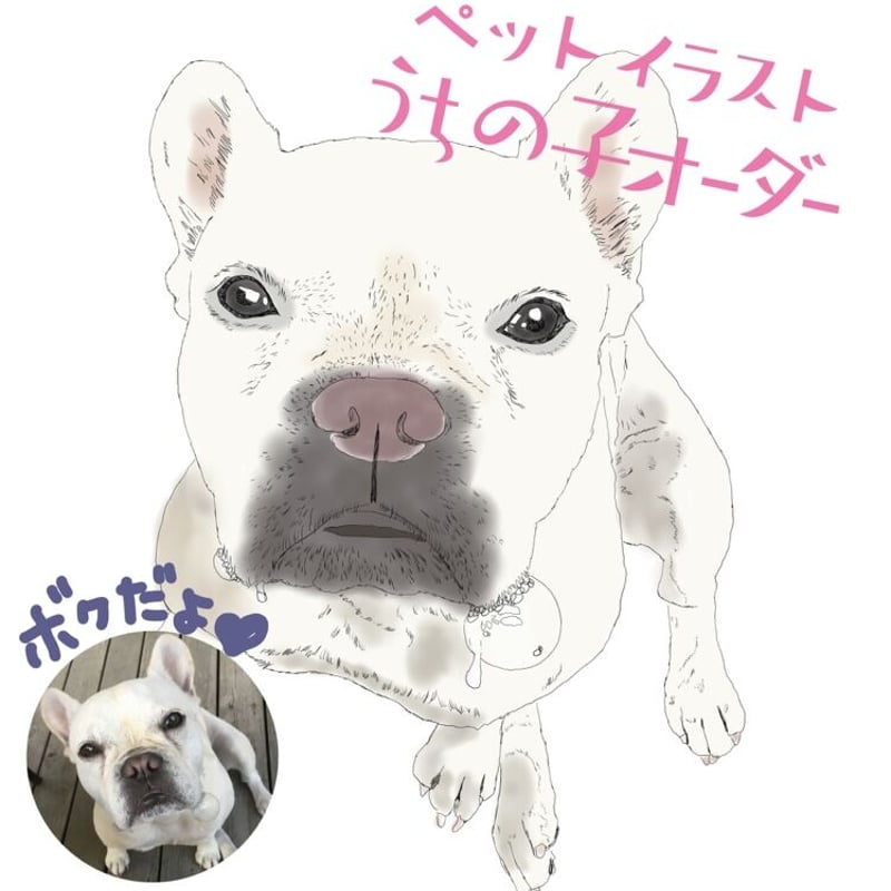 1匹うちの子オーダー | 切り抜きマシカク封筒とペットイラストのお店