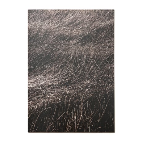 関川徳之「覚醒」ZINE　[limited edition 100]