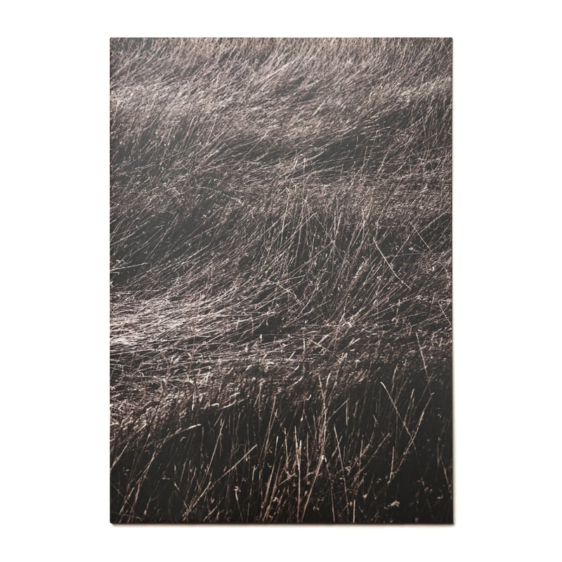 関川徳之「覚醒」ZINE [limited edition 100] | 川 / kawa