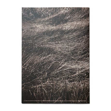 関川徳之「覚醒」ZINE　[limited edition 100]