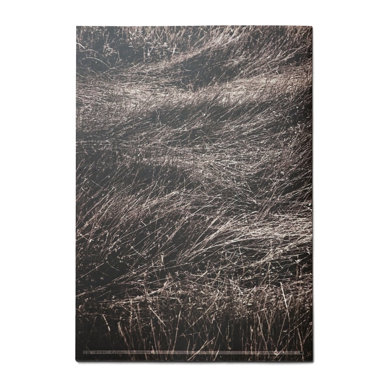 関川徳之「覚醒」ZINE [limited edition 100] | 川 / kawa