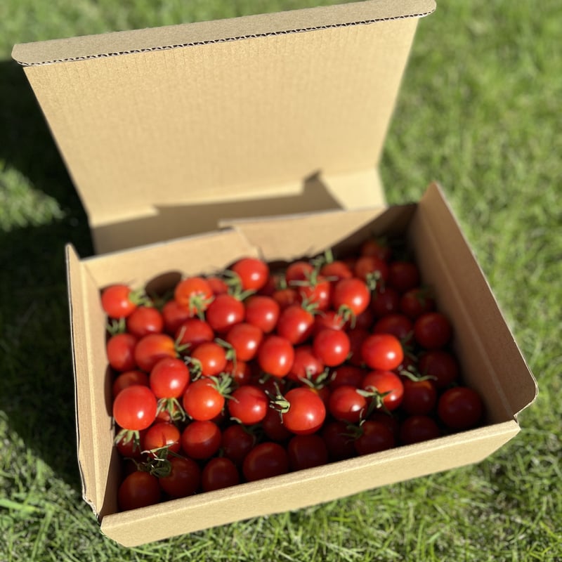 ☆ tomato ☆さま いつもありがとうございます! オリジナルセット premium tokutani52 | 春 Spring fruits,徳谷トマト | | フルーツ