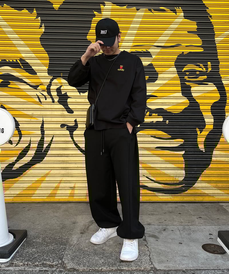 【新品】Adoエーディーオーを見せつけろ！ロックなロンT(大、M相当) ankoROCK tシャツ a.p.o.v. -ankoROCK's select- ミドルタイダイ