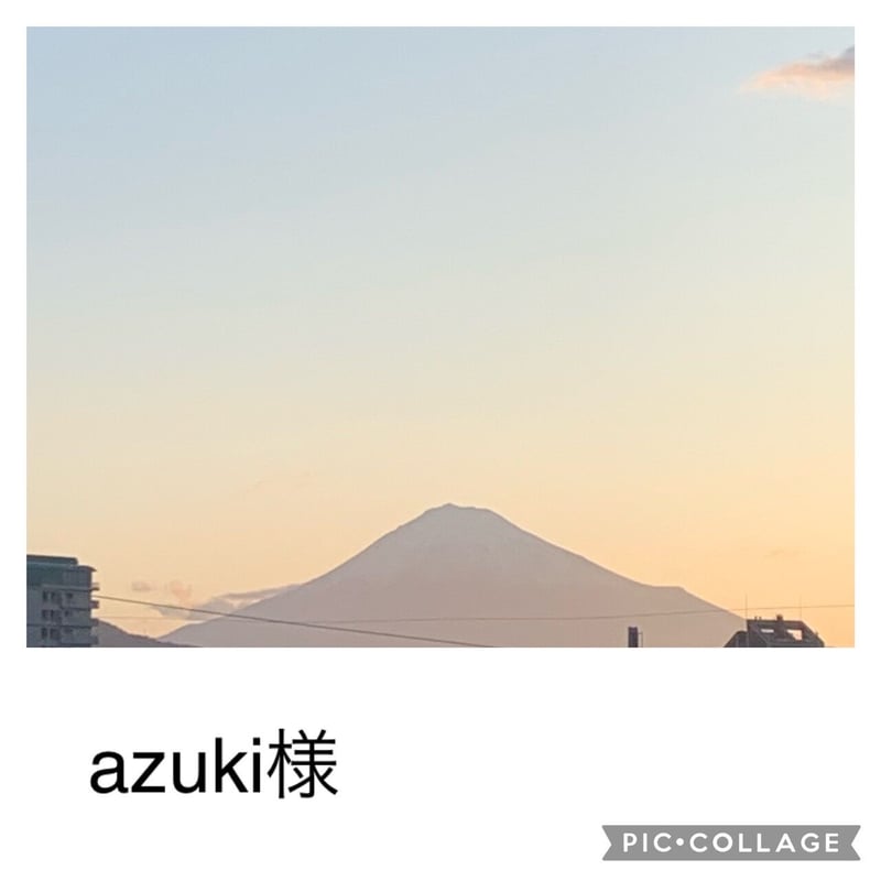 AZUKI様専用 藻醤1000ml | アイウエシカル 