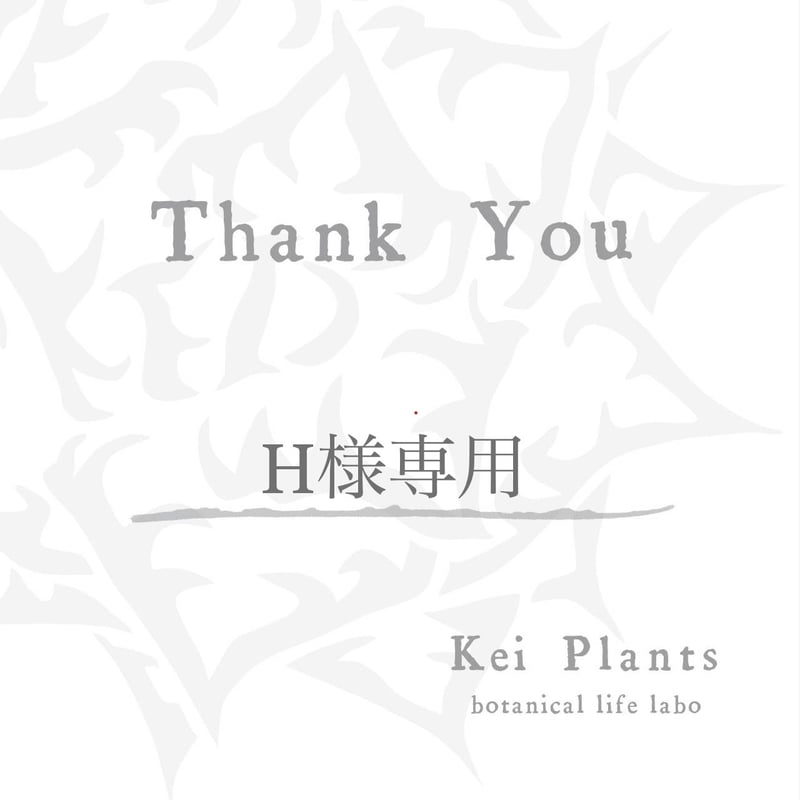 Kei様専用 KEI-KUN 様 専用 | a.klupinus