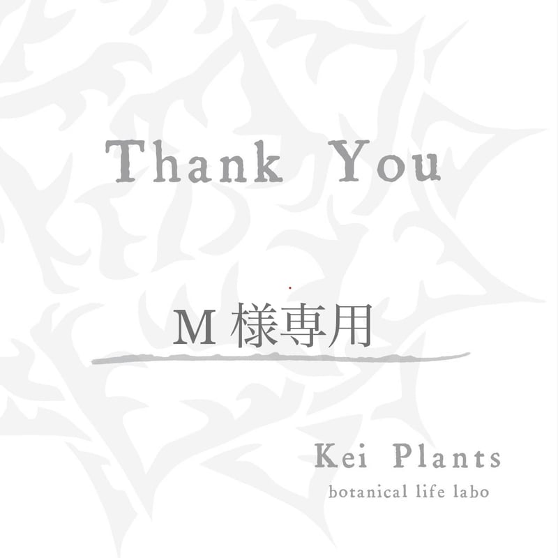 Kei ♡様専用 【公式通販】