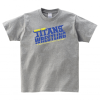 Team T-Shirt (gray)