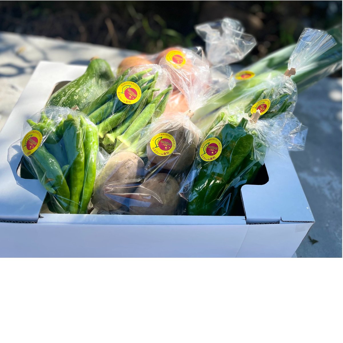 【お手頃】お野菜ボックス 2セット分 | エコファーム奥野