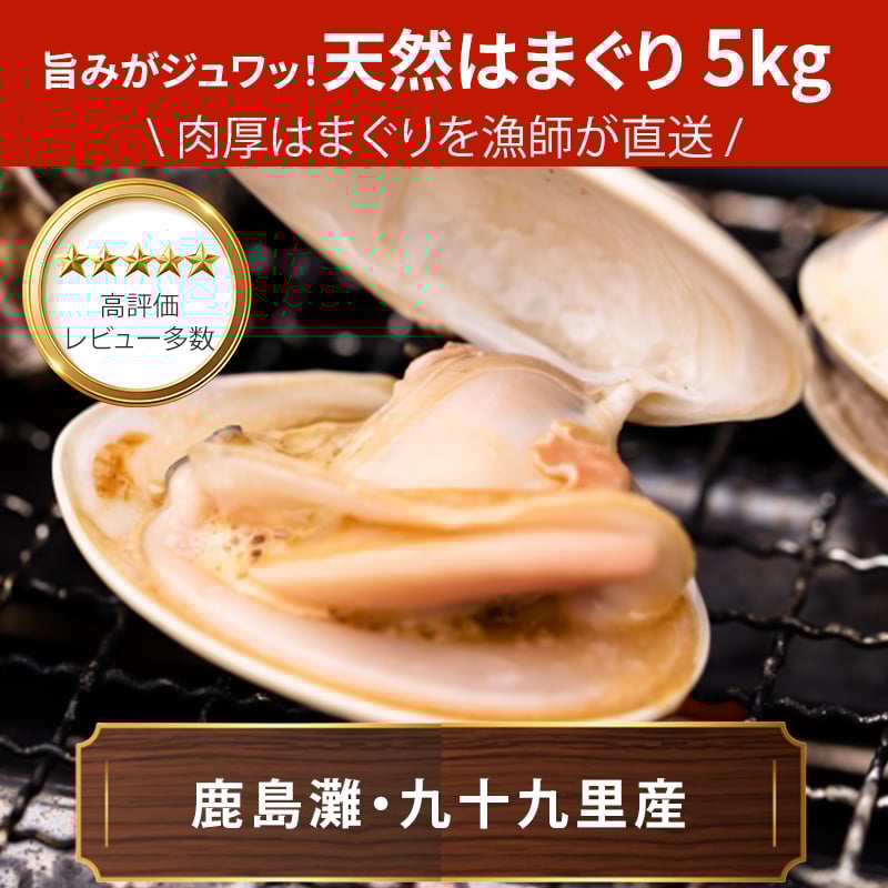 超特大ハマグリ。約119mm。 鮮魚通販［豊洲 Okawari 鮮魚店］天然 地はまぐり 生（活け