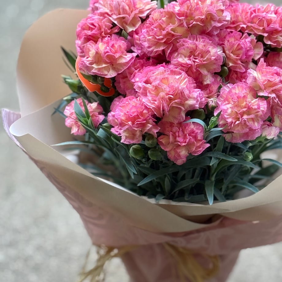 69f98be8db80ba1bbe421e04