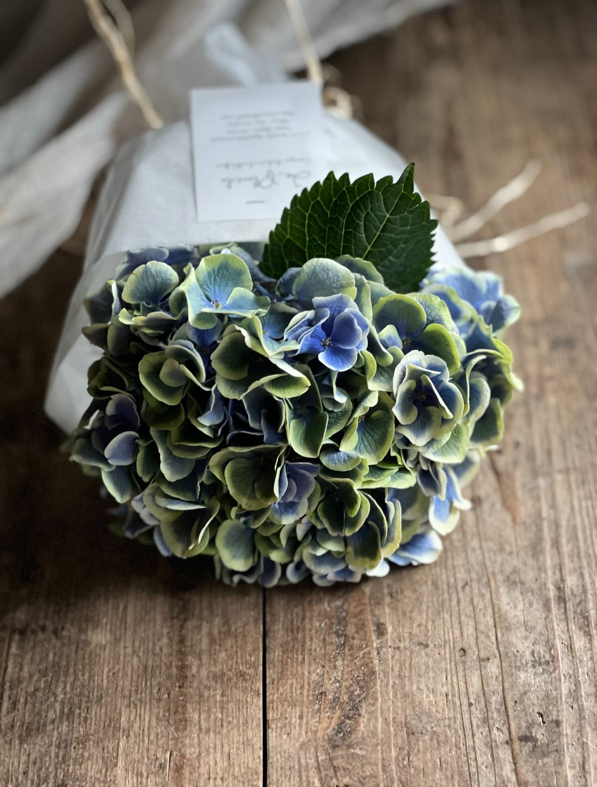 紫陽花守りスワッグ 完成品 B | La plantule