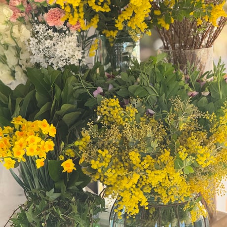 Mimosa ワークショップ　2/16  14:00〜