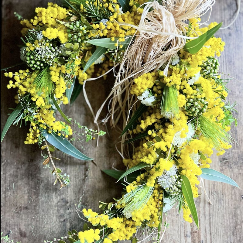 ミモザのホースシューリースキット | La plantule