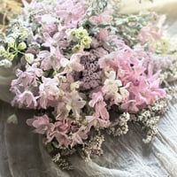 SPデルフィニュームのピンクスワッグ