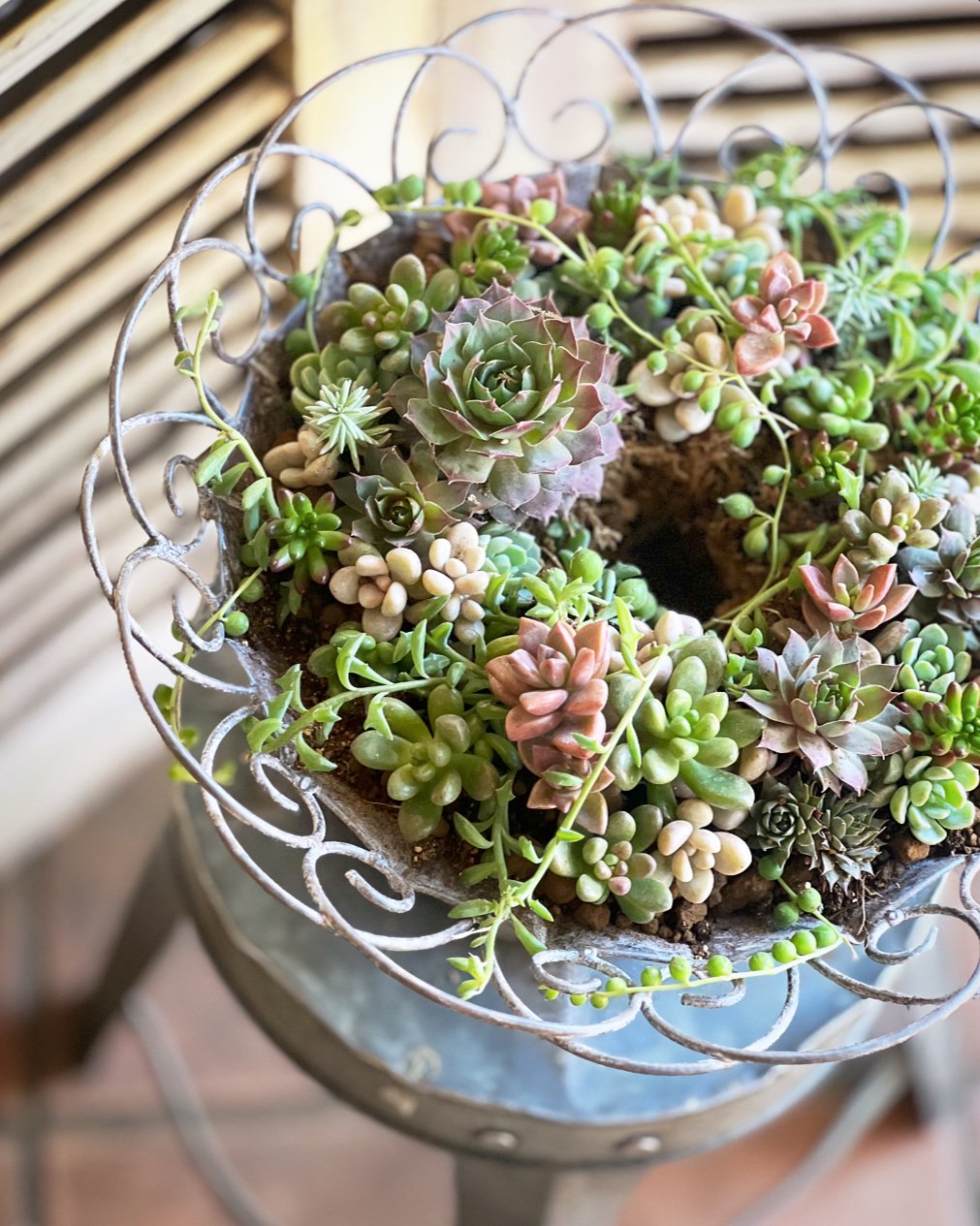 3月 ラプランテュール ＊多肉植物のテーブルリース＊作成キット | La