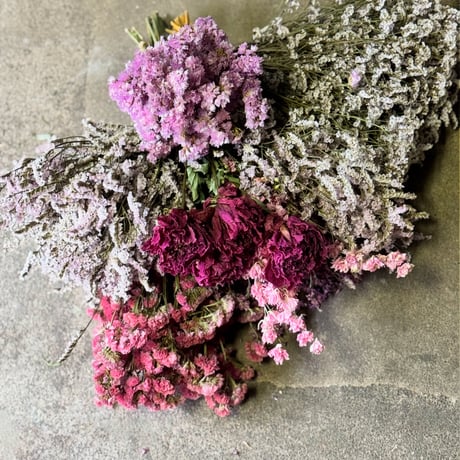ラプランテュール＊DRYFLOWER SALE＊　Set C