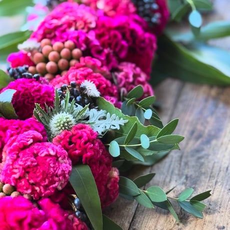 CATEGORY キット | La plantule