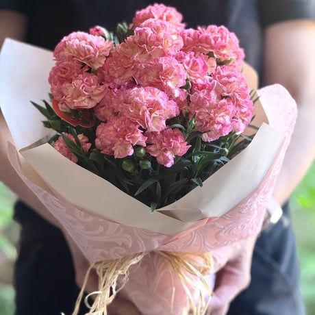 Mother’s Day Gift カーネーション鉢〜フロリアーヌM〜