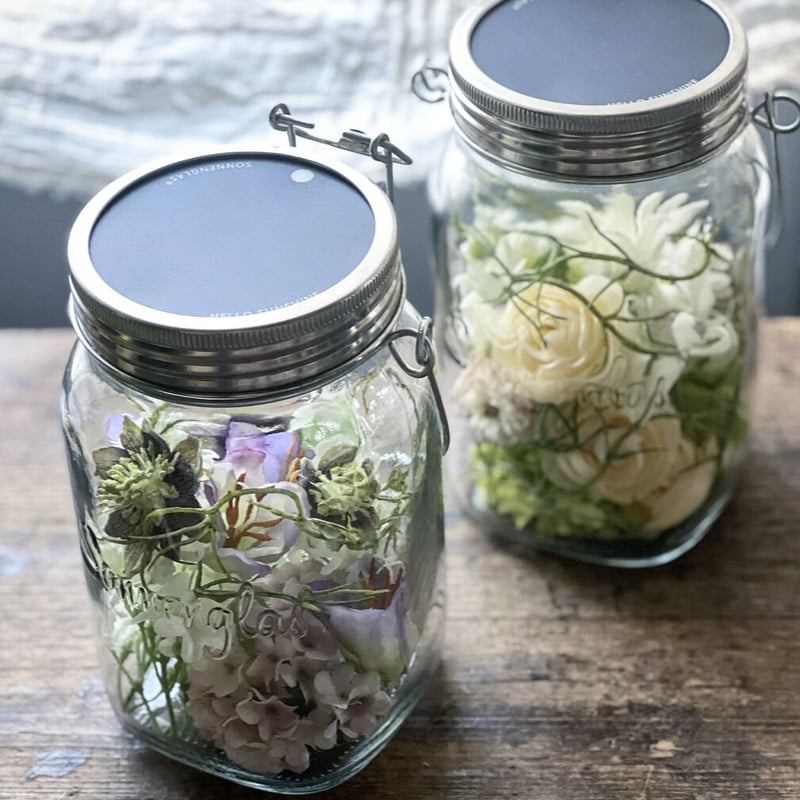 ソネングラス | La plantule