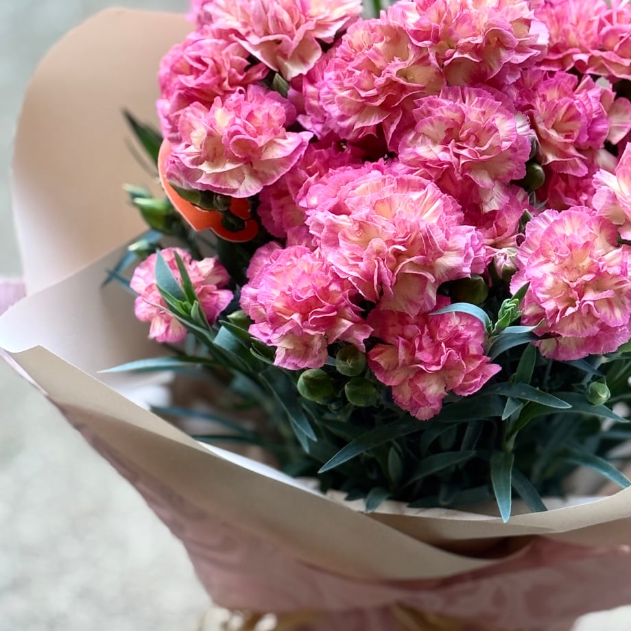 69f98be8db80ba1bbe421e04