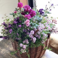 Mother‘s Day Gift  薔薇とハーブ香る寄せ植え
